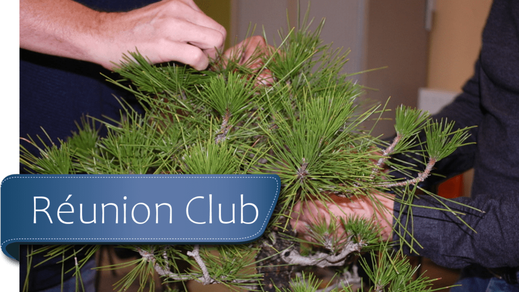 reunion club