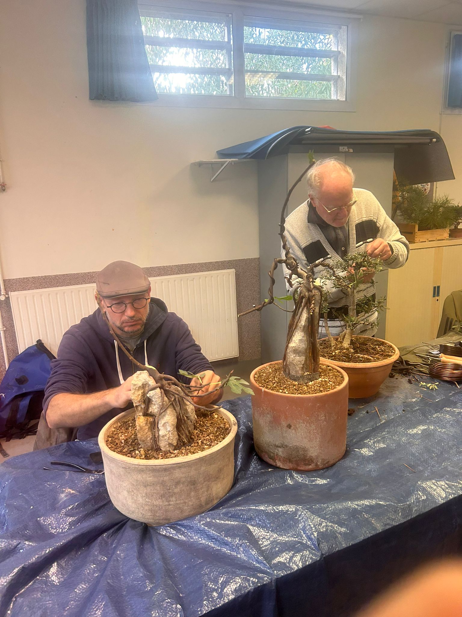 2025_10_ambiance_atelier_bonsai_02