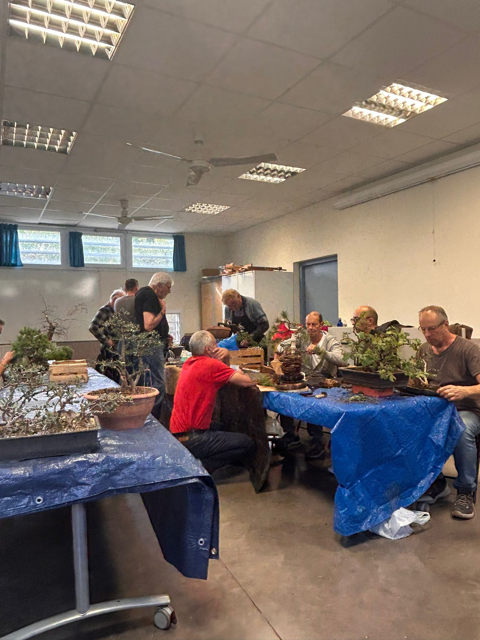 2025_10_ambiance_atelier_bonsai_07