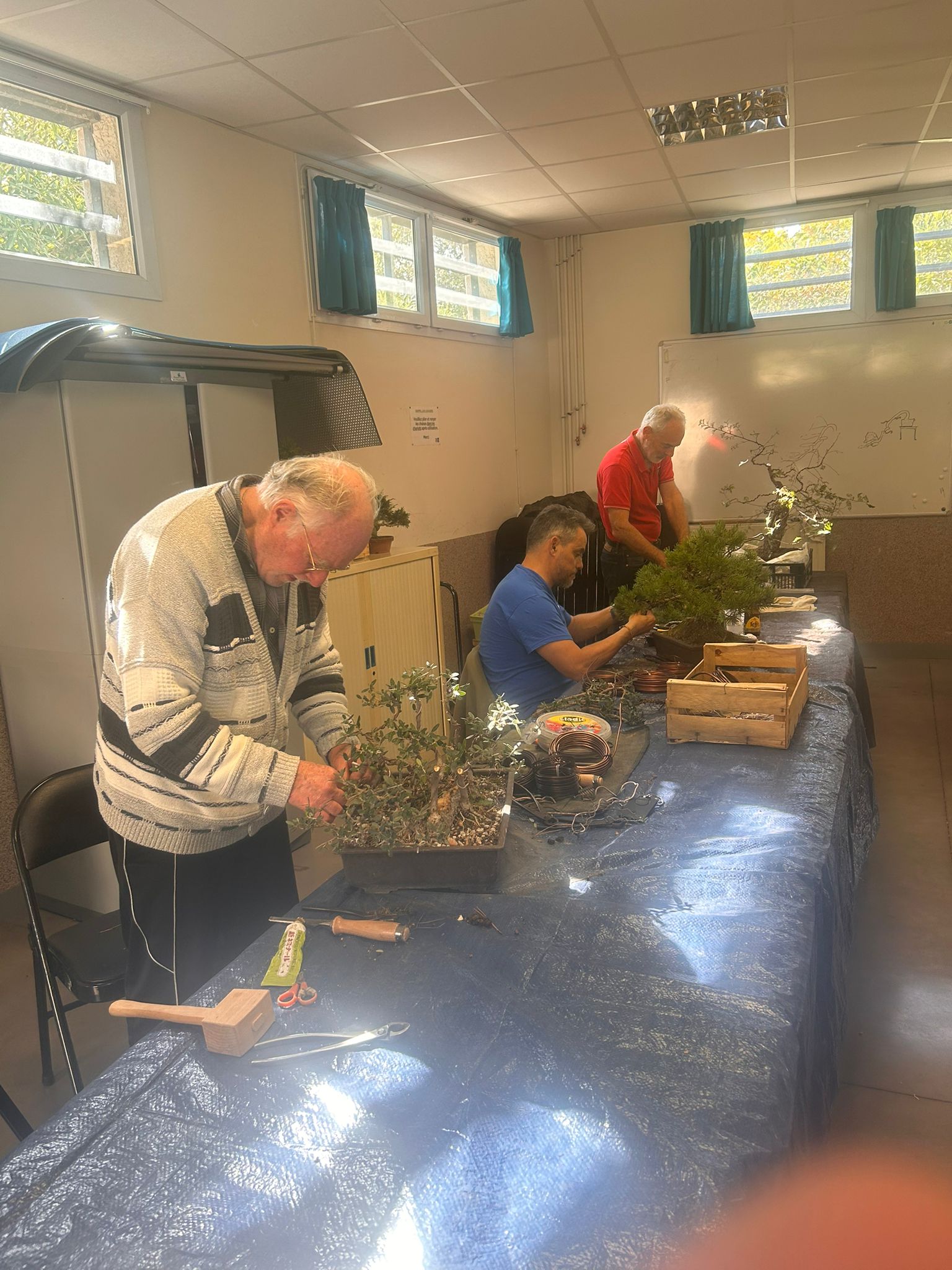 2025_10_ambiance_atelier_bonsai_08