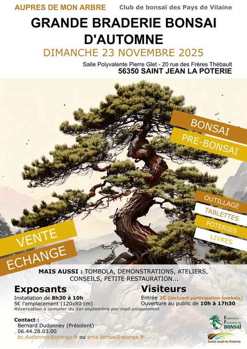 braderie automne bonsai