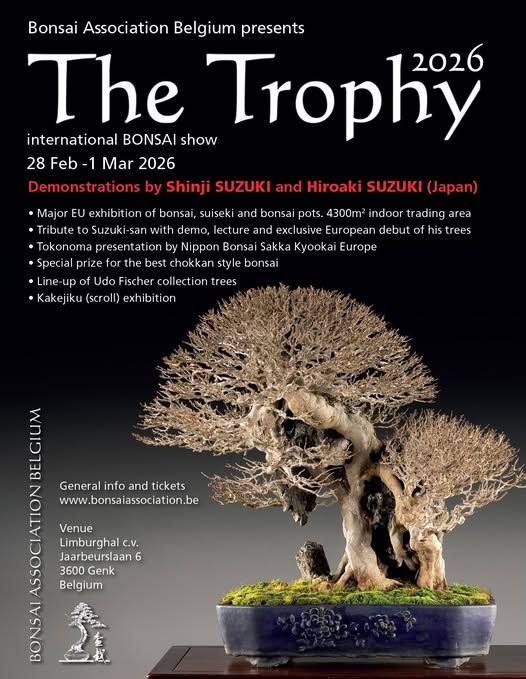 trophy bonsai 2026 genk
